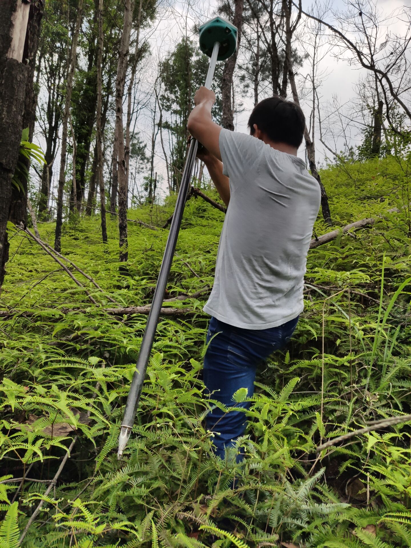 �˲���ɲ���������ι�˾